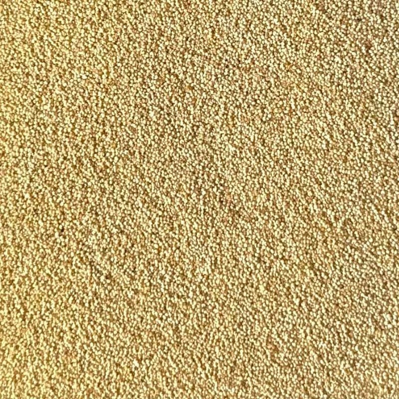 POPPY SEEDS PREMIUM 1 KG X 5PKT