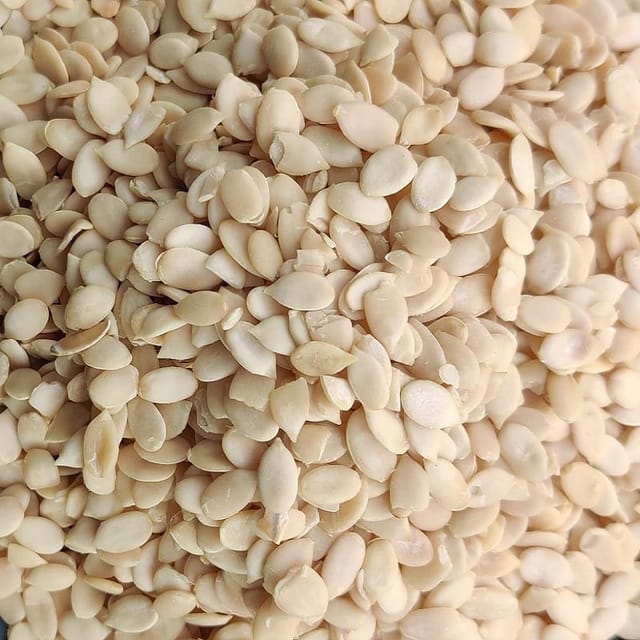 MAGAJ SEEDS BOLD 1Kg X 5PKT