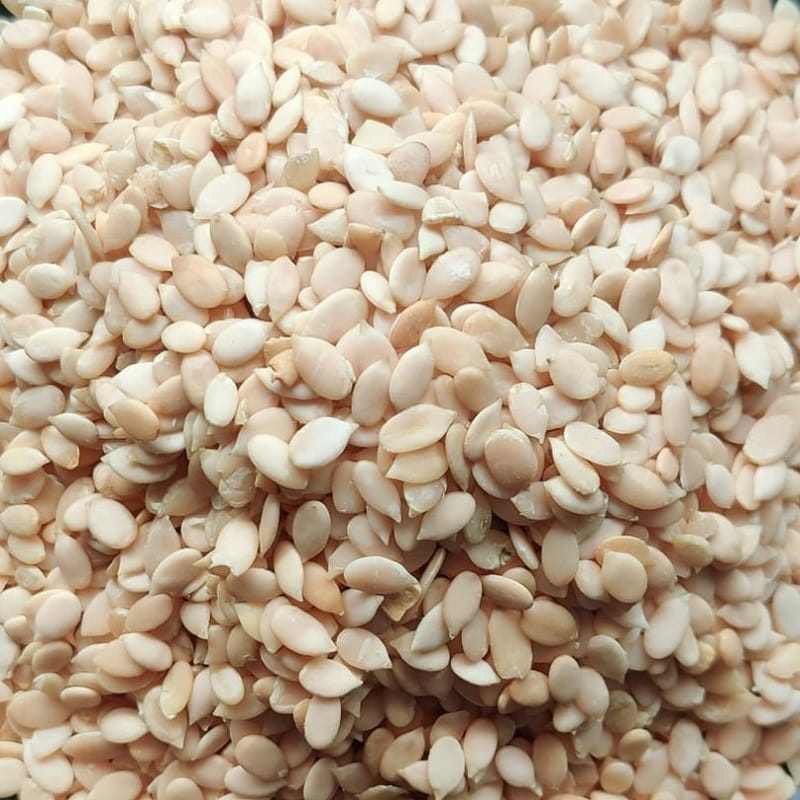 MAGAJ SEEDS REGULAR 1 Kg X 5 PKT