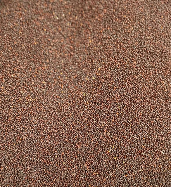 MUSTARD SEEDS BLACK SMALL 30Kg
