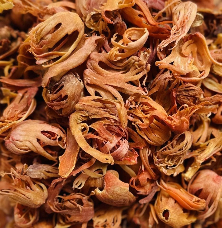 JAPATHRI / NUTMACE PREMIUM 5Kg
