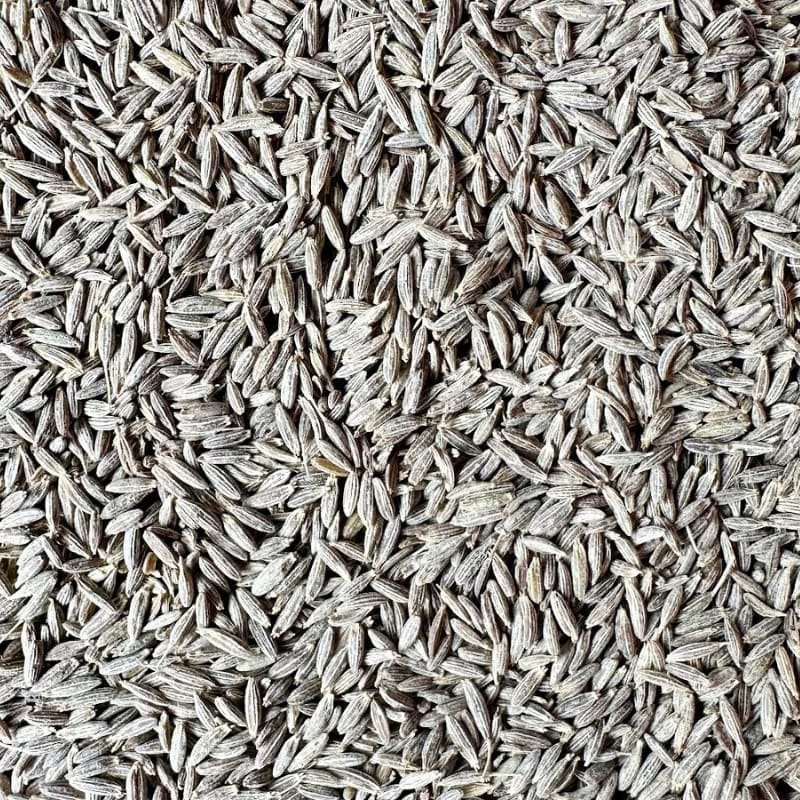 JEERA REGULAR 30Kg