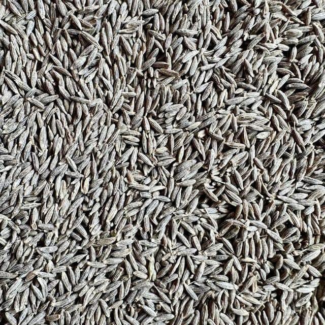 JEERA PREMIUM 30Kg