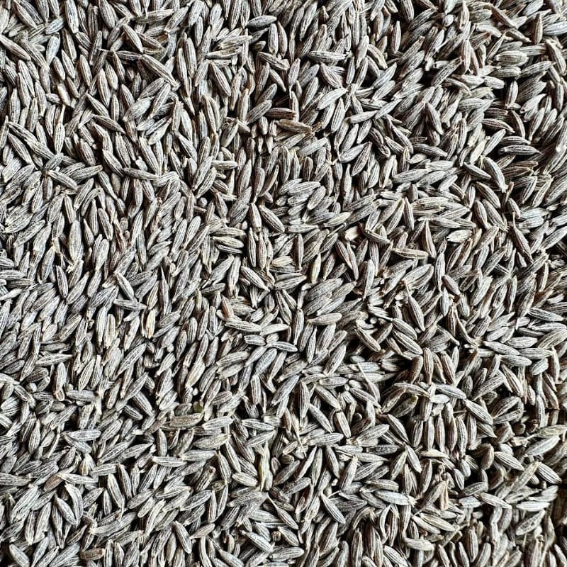 JEERA PREMIUM 30Kg