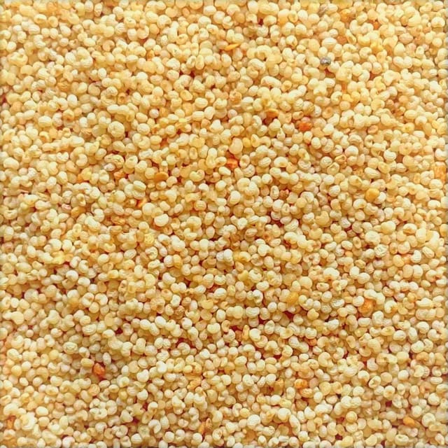 POPPY SEEDS REGULAR 1Kg X 5PKT