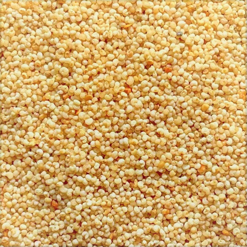POPPY SEEDS REGULAR 1Kg X 5PKT