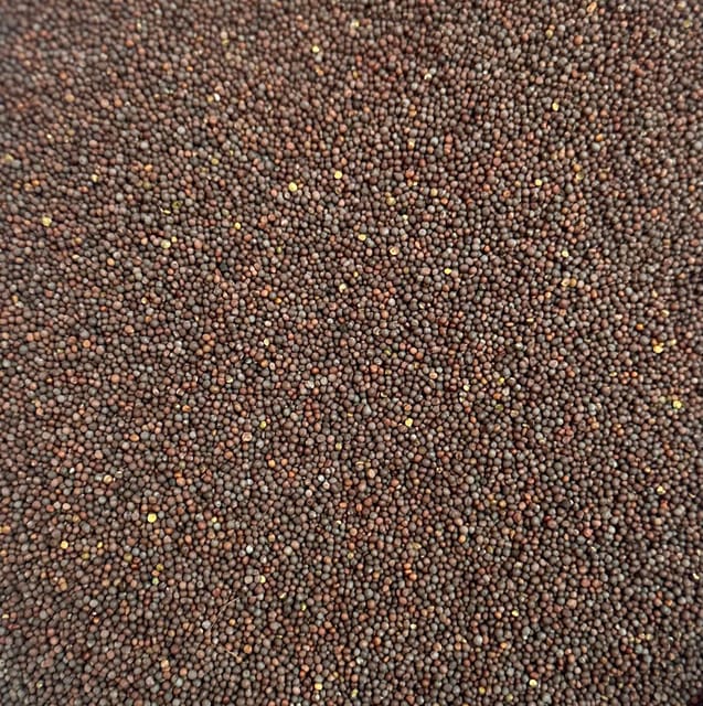 Mustard Big Premium Black 250g X 10pcs